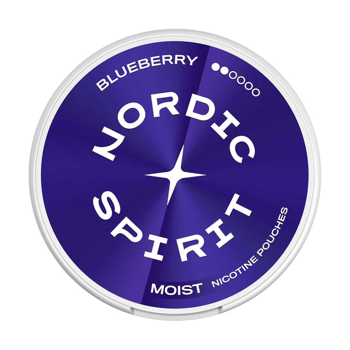 Blueberry Nordic Spirit Nicotine Pouches